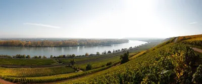 Rielsing Grosses Gewächs-2017 droog Rothenberg-Gunderloch (Rheinhessen)