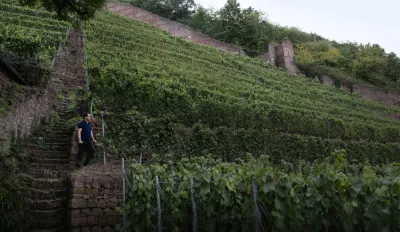 Pinot Noir-Grosses Gewächs-2013 droog Schlossberg -Dr.Heger (Baden)