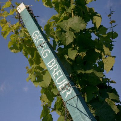 Riesling-2017 droog Nonnenberg-Georg Breuer (Rheingau)