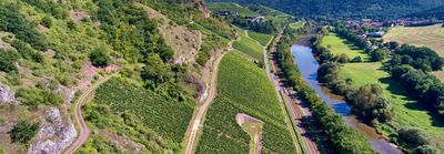 Riesling Spätlese-1998 Felsenberg Dr. Crusis (Nahe)