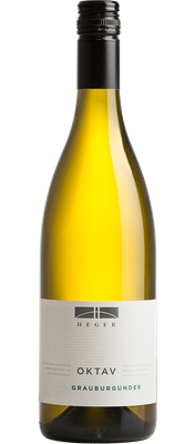 Pinot gris 2024 droog Oktav-Heger (Baden)