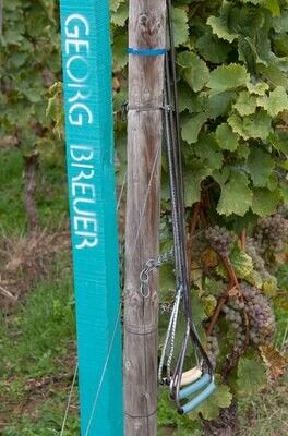 Riesling 2022 droog Terra Montosa-Georg Breuer (Rheingau)
