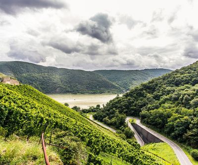 Riesling 2021 droog Devon-Toni Jost (Mittelrhein)