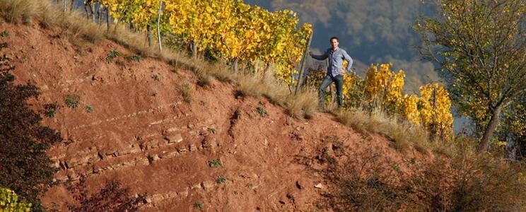 Riesling 2023 droog Grosses Gewächs Rothenberg-Gunderloch (Rheinhessen) Riesling 2023 droog Grosses Gewächs Rothenberg-Gunderloch (Rheinhessen)