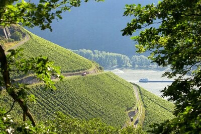 Riesling 2024 droog Grosses Gewächs Im Hahn-Toni Jost (Mittelrhein)