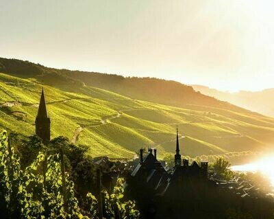 Riesling 2022 droog Grosses Gewächs Niederberg Helden-Schloss  Lieser (Mosel)