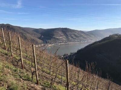 Riesling Sekt 2020 brut Bacharach-Ratzenberger (Mittelrhein)