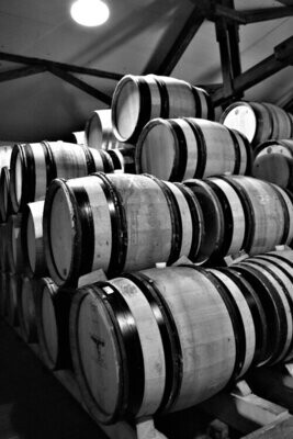 Chardonnay 2020 droog Mineral-Friedrich Becker (Pfalz)