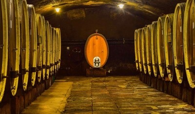 Riesling 2021 droog Premier Cru Wachenheimer Böhlig-Dr. Bürklin Wolf (Pfalz)