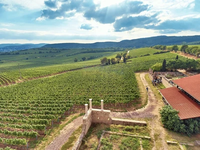 Riesling  2017 droog Grosses Gewächs Weilberg-Pfeffingen (Pfalz)