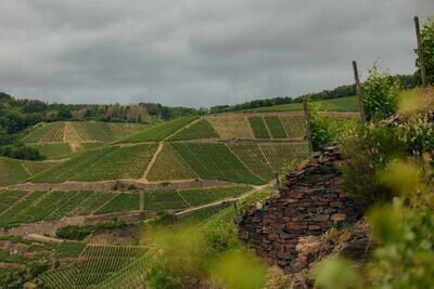 Pinot Noir 2020 droog Grosses Gewächs Silberberg-Kreuzberg (Ahr)