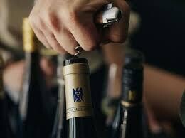 Lemberger 2019 droog Grosses Gewächs Lämmler- Schnaitmann (Württemberg)