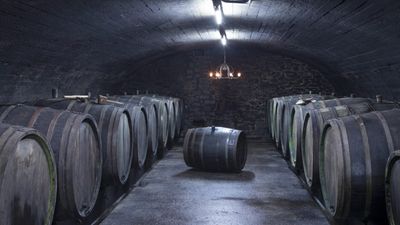 Riesling-Kabinett-2022 Graach Domprobst Willi Schaefer (Mosel)