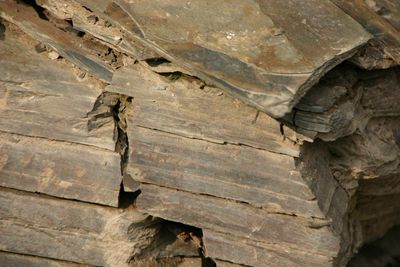 Riesling-Spätlese-2023 Rausch- Zilliken (Saar)