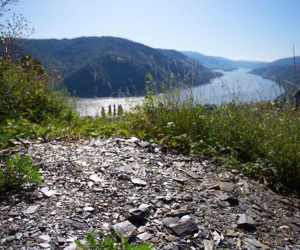 Riesling-Kabinett-2018  Graach Himmelreich -Willi Schaefer (Mosel)