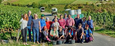 Riesling-2024 droog Top of the Rock Dr. Crusius (Nahe) Riesling-2024 droog Top of the Rock Dr. Crusius (Nahe)