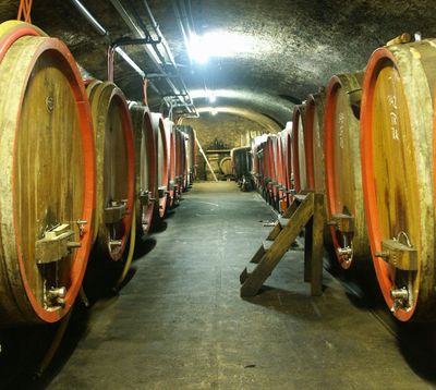 Riesling-Trockenbeerenauslese-2023 0,375 l Kupfergrube- Dr. Crusius (Nahe)