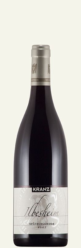 Pinot noir-2021 droog Ilbesheim-Kranz (Pfalz) Pinot noir-2021 droog Ilbesheim-Kranz (Pfalz)