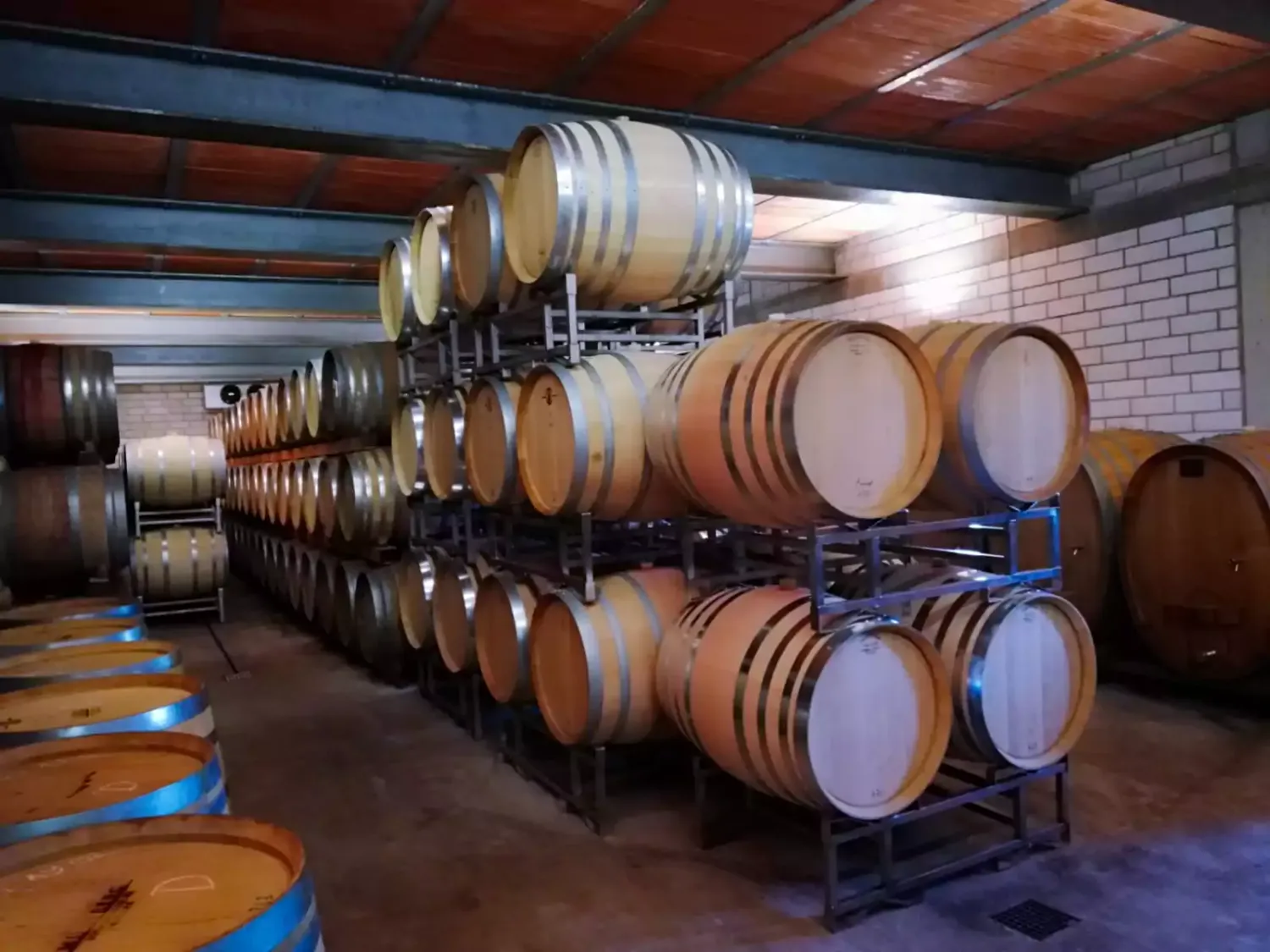 Pinot noir-Erste Lage-2022 droog  Affolter-Münzberg (Pfalz)