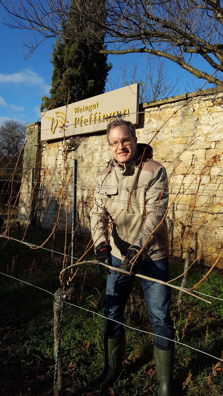 Pinot blanc-2024 droog Pfeffingen (Pfalz)