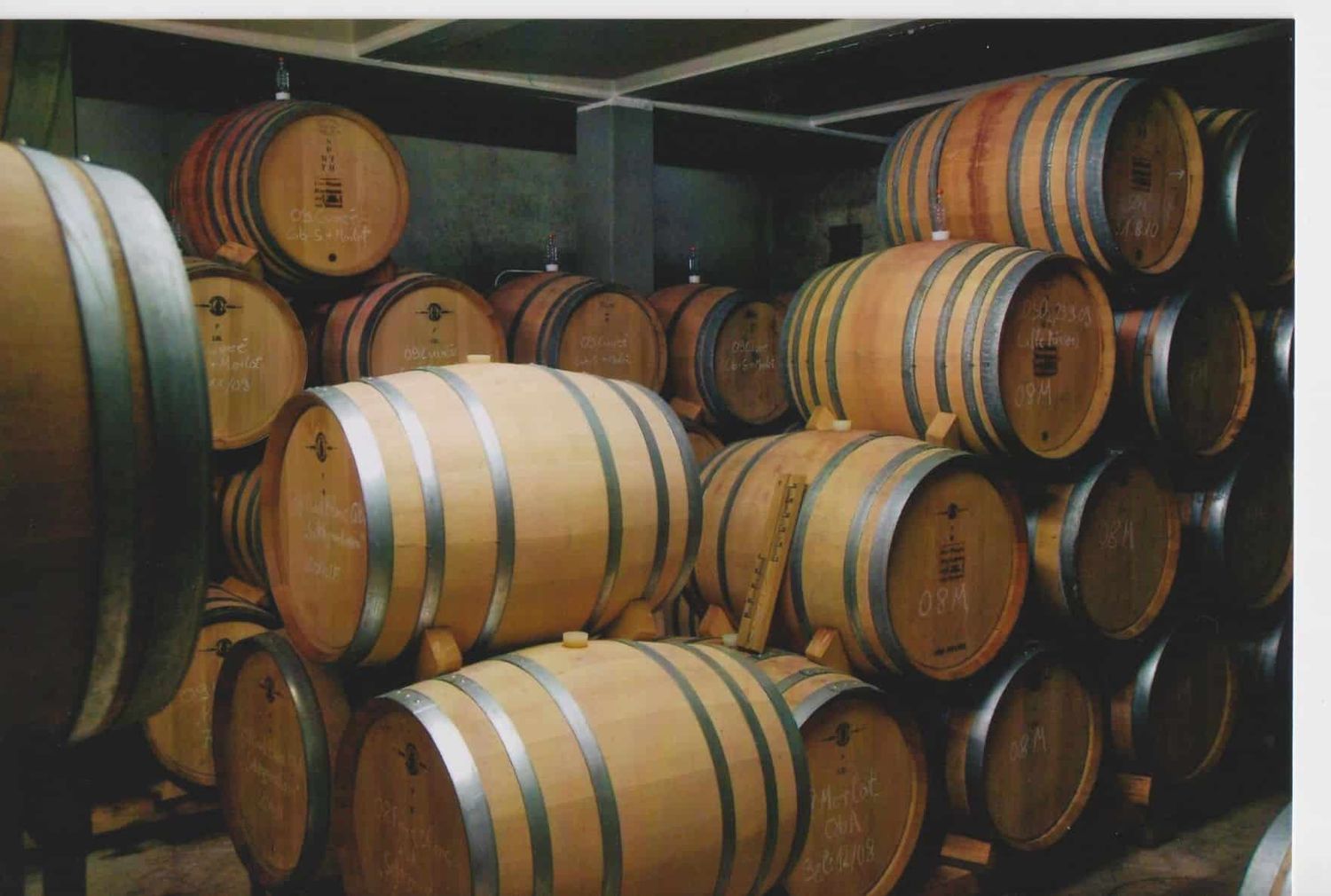 Pinot Noir-Grosses Gewächs 2019 droog Sonnenberg-Siegrist (Pfalz)