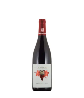 Pinot noir-2024 droog Dr.Wehrheim (Pfalz) Pinot noir-2024 droog Dr.Wehrheim (Pfalz)