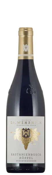 Pinot Noir-Grosses Gewächs-2022 droog Kastanienbusch Köppel Dr. Wehrheim (Pfalz)