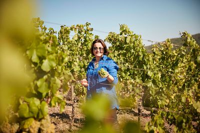 Silvaner-Orstwein-2024 droog Iphofen K-Hans Wirsching (Franken)