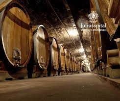 Silvaner-Grosses Gewächs-2022 droog Stein-Berg-Juliusspital (Franken)