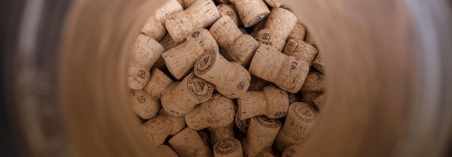 Blanc Sekt Extra Brut- Heger (Baden)