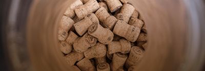 Blanc Sekt Extra Brut- Heger (Baden)