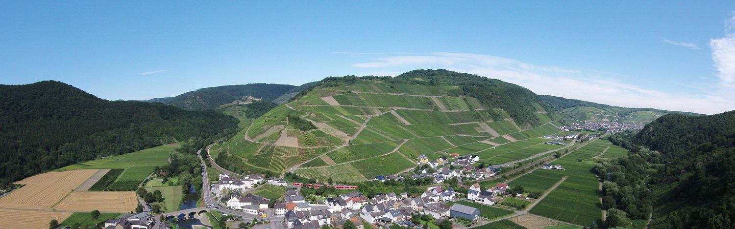 Frühburgunder-Grosses Gewächs-2018 droog Landskrone-B Nelles (Ahr)