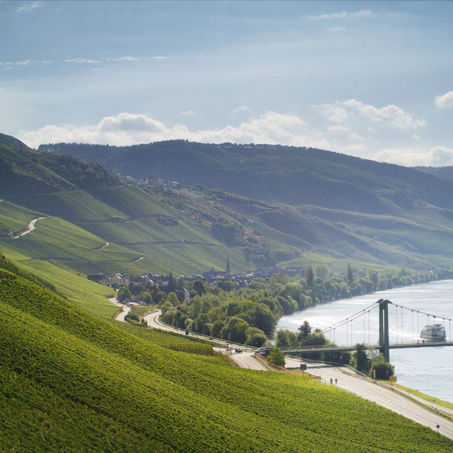 Riesling-Auslese-#4-2016  Graach Himmelreich Willi Schaefer (Mosel)