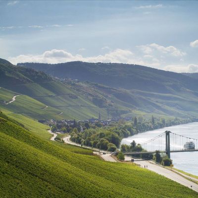 Riesling-Auslese-#4-2016  Graach Himmelreich Willi Schaefer (Mosel)