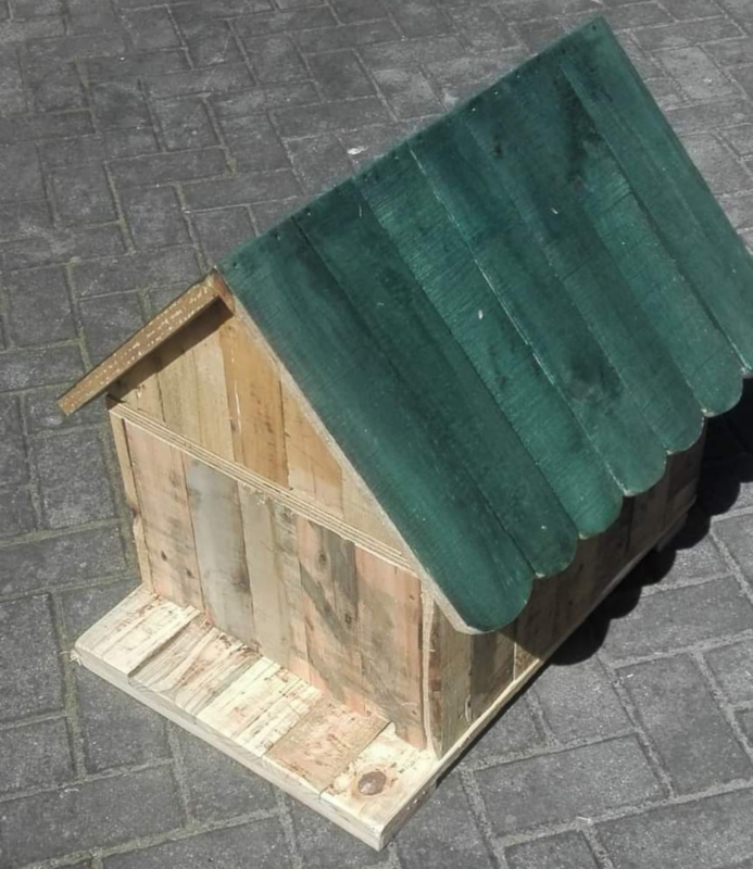 Woodland Hive