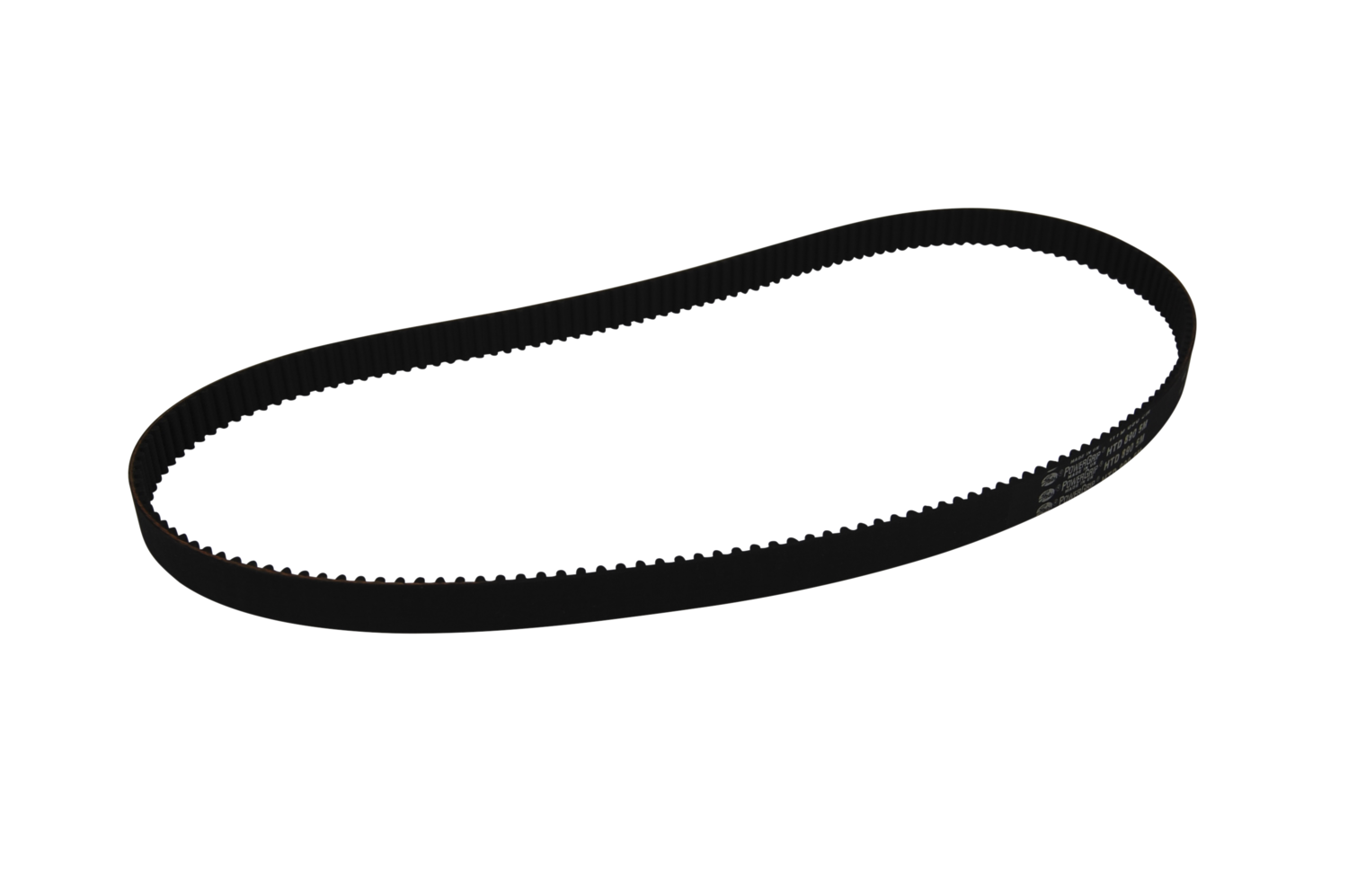 Toothed belt