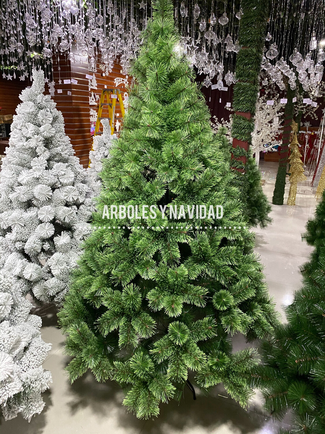 Nevado Ligero 2.10 m