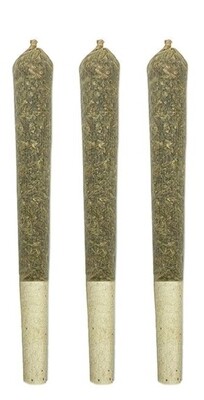 Gastro Pop Pre-Roll Pack (3g)