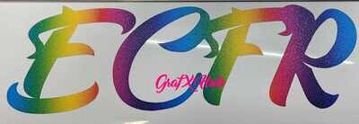Rainbow Short ECFR Logo Stickers!