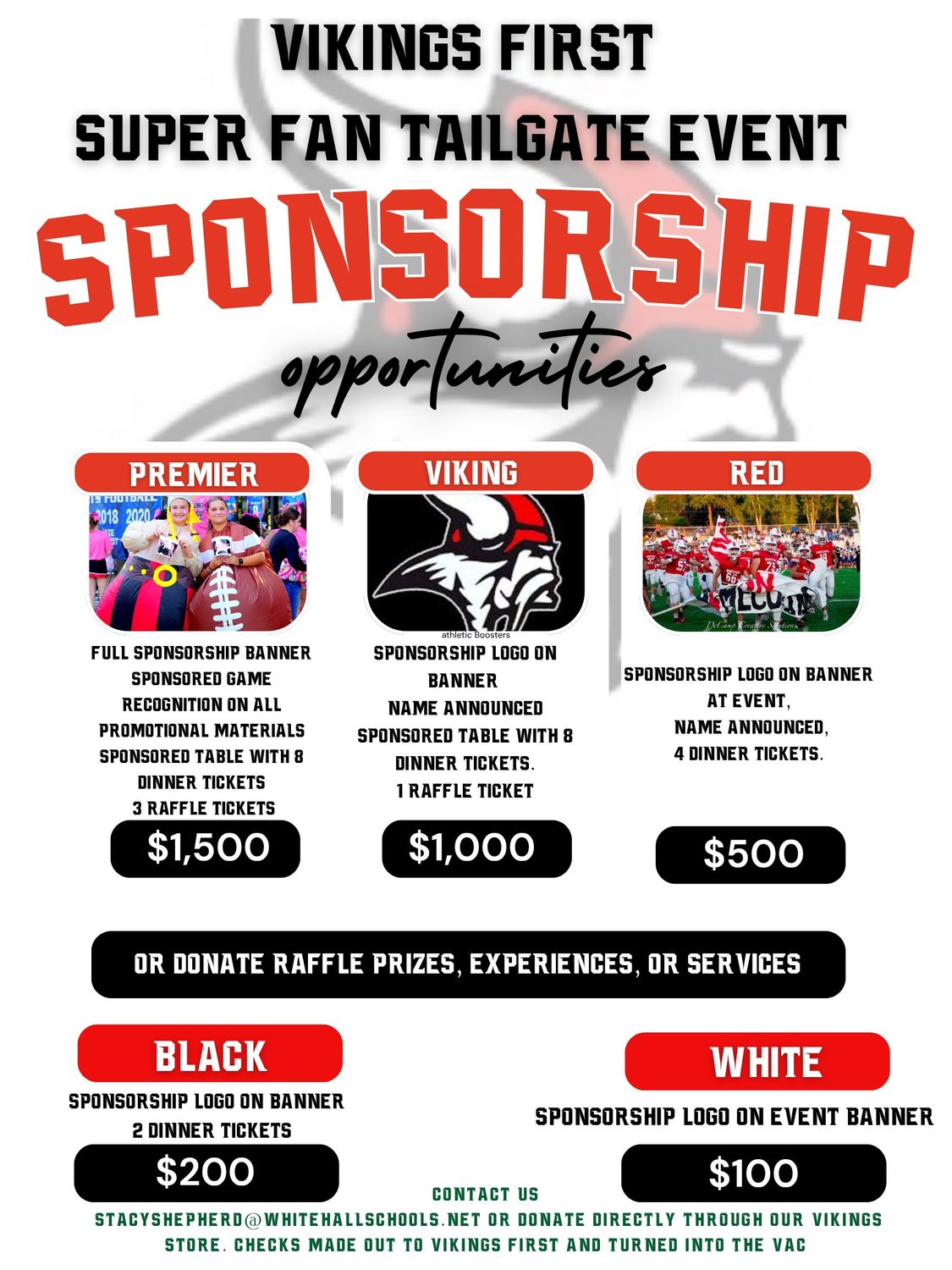VIKINGS 1ST SPONSORSHIP