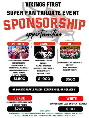 VIKINGS 1ST SPONSORSHIP