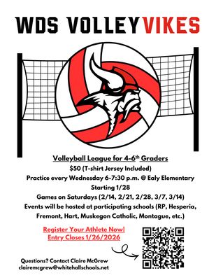 VolleyVikes VolleyVikes