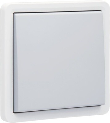 Spuitwaterdichte (hydro) opbouwkruisschakelaar 10 AX/250 Vac met schroefklemmen, exclusief opbouwdoos