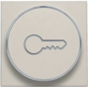 Afwerkingsset met doorschijnende ring met sleutelsymbool voor drukknop 6A met amberkleurige led met E10-lampvoet, light grey