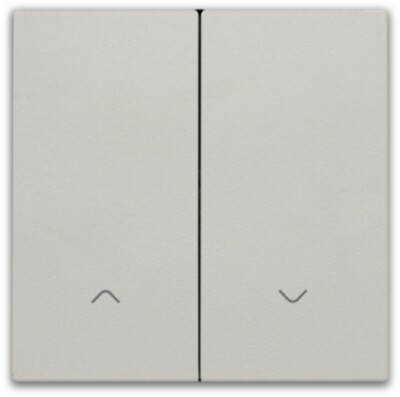 Afwerkingsset voor dubbele elektronische rolluikschakelaar, light grey