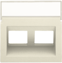 Centraalplaat data 2x RJ schuine uitgang, cream