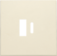 Afwerkingsset voor dubbele smart USB-A en USB-C-lader, cream