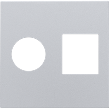 Afwerkingsset voor enkelvoudige coaxaansluiting en netwerkaansluiting RJ45, sterling coated