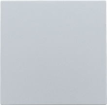 Spuitwaterdichte blindplaat, sterling coated