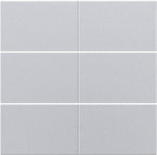 Afwerkingsset voor 6-voudige potentiaalvrije drukknop 24 V, sterling coated